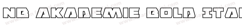 NB Akademie Bold Italic字体转换